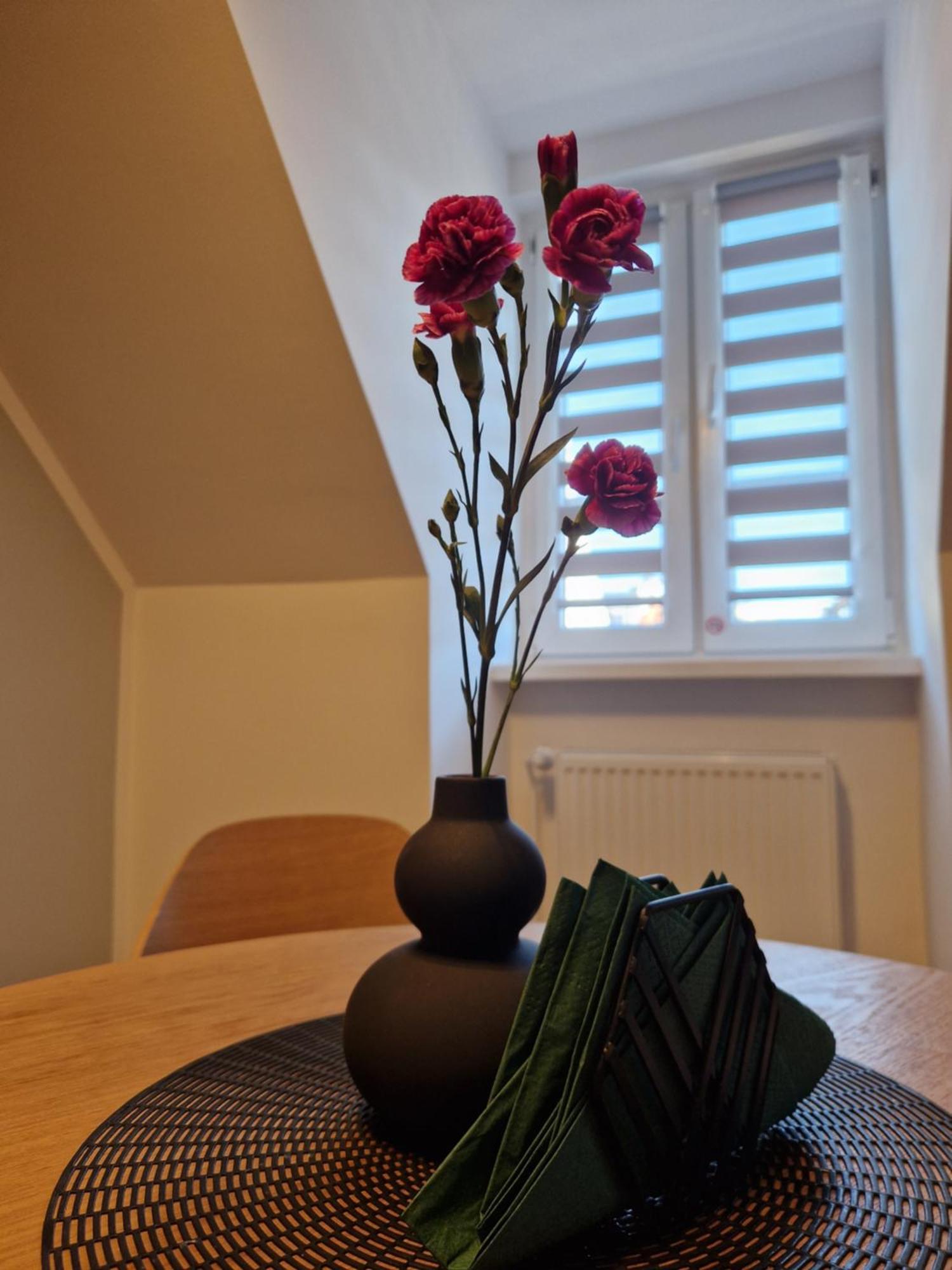 Apartament Rabianska 14 Stary Toruń Екстериор снимка